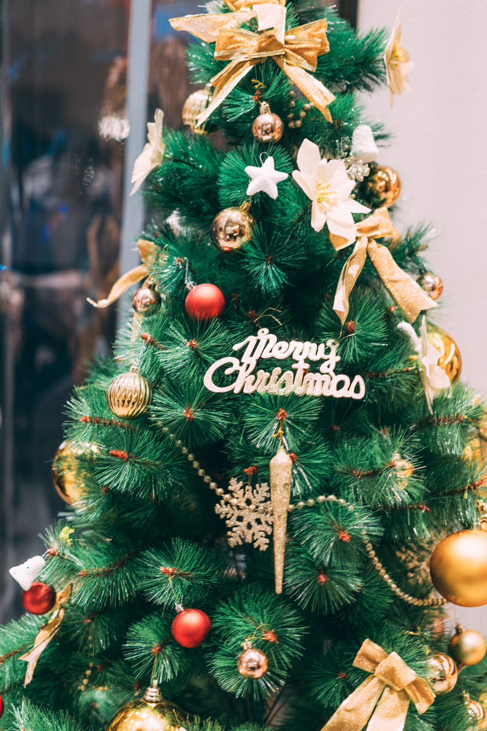 1731641494866_.pic_hd